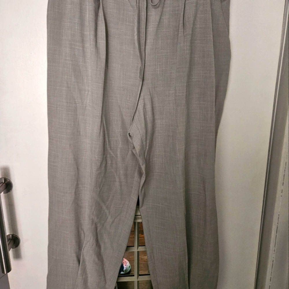 Express dress pants